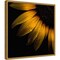 Sunflower Detail by Brian Carson 16-in. W x 16-in. H. Canvas Wall Art Print Framed in Gold